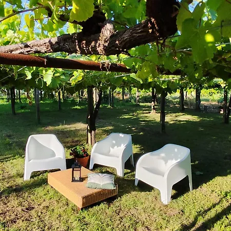 Vina Da Igrexa, Casa Con Jardin Y Barbacoa En Vakantiehuis